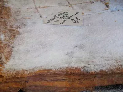 croustade-ariège-ax