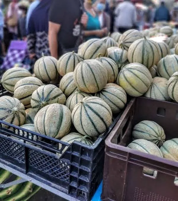Le marché de Montauban