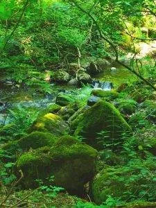 Randonnée cascade Laguiole