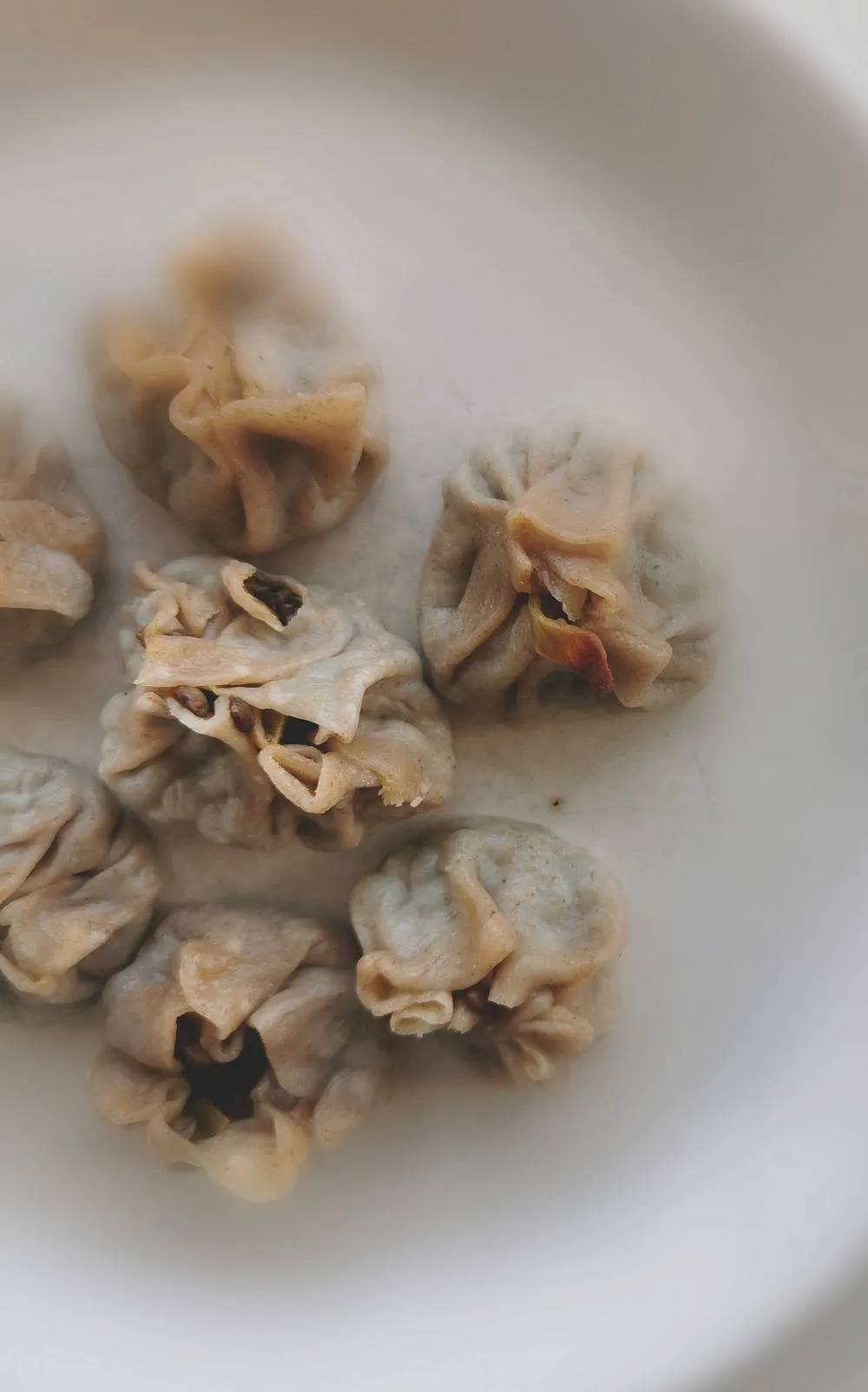 Raviolis shaomai aux lentilles